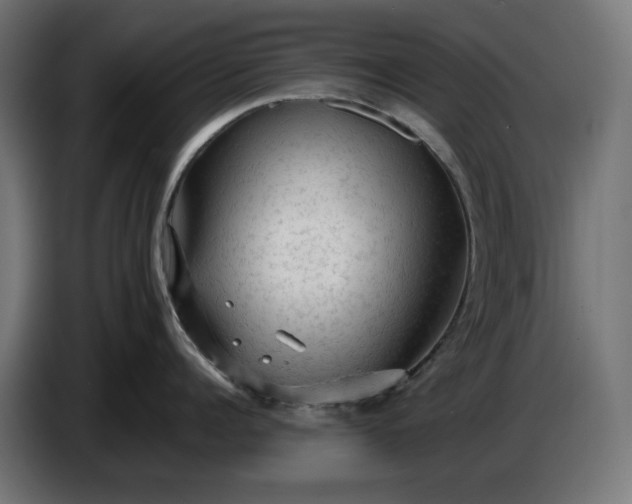 X0000087420960200705041305