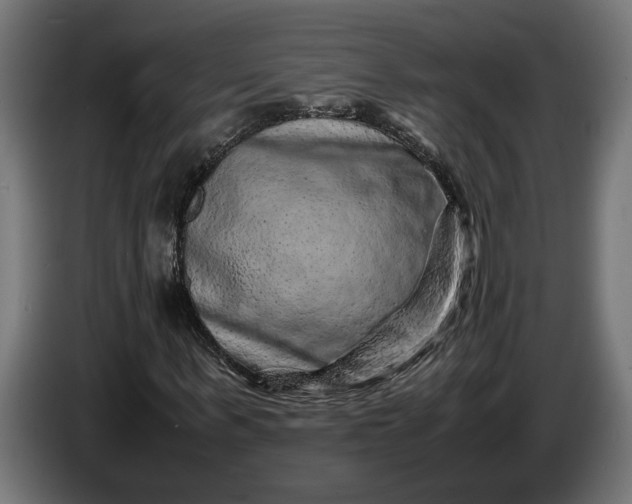 X0000087420963200705041304