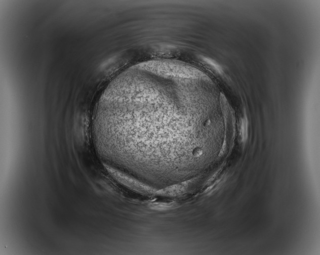 X0000087420964200705041304