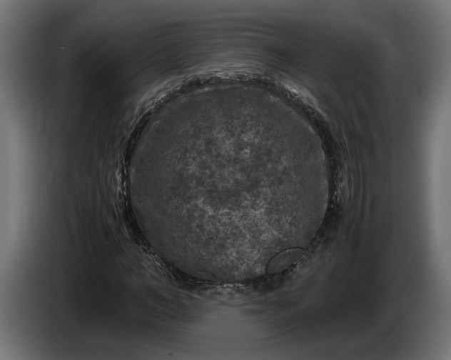 X0000087420966200705041304