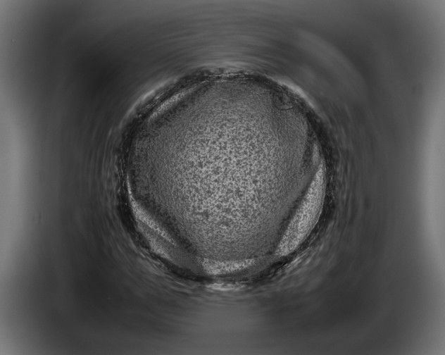 X0000087420967200705041304