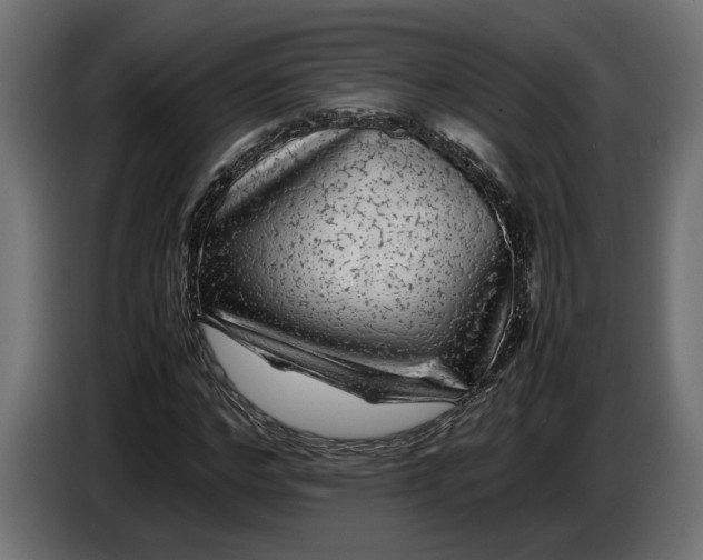 X0000087420968200705041304