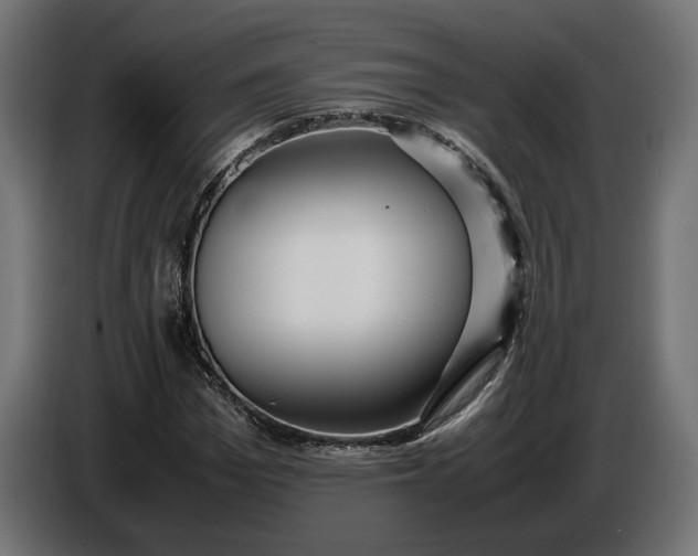 X0000087420969200705041304