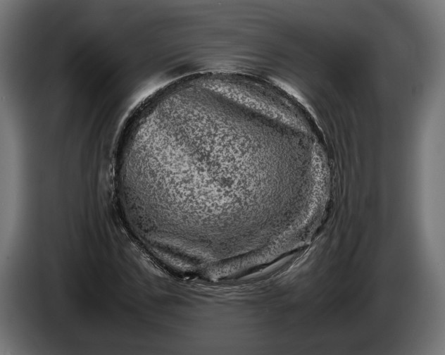 X0000087420971200705041304