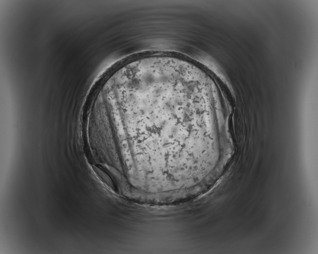 X0000087420972200705041304