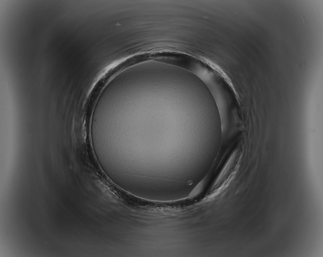 X0000087420973200705041304