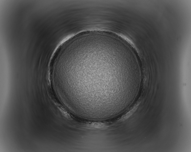 X0000087420974200705041304
