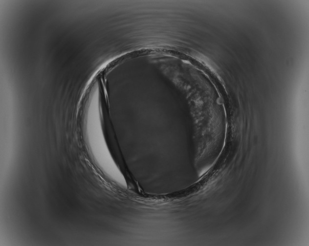 X0000087420975200705041304