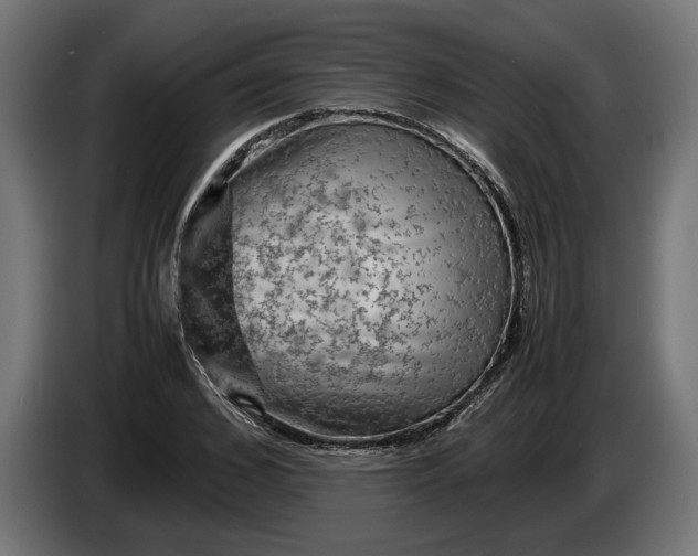 X0000087420976200705041304