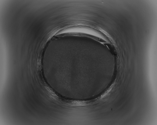 X0000087420977200705041304
