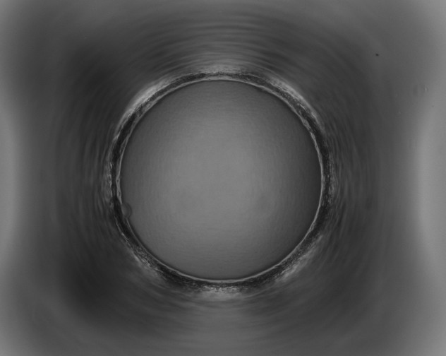 X0000087420978200705041304