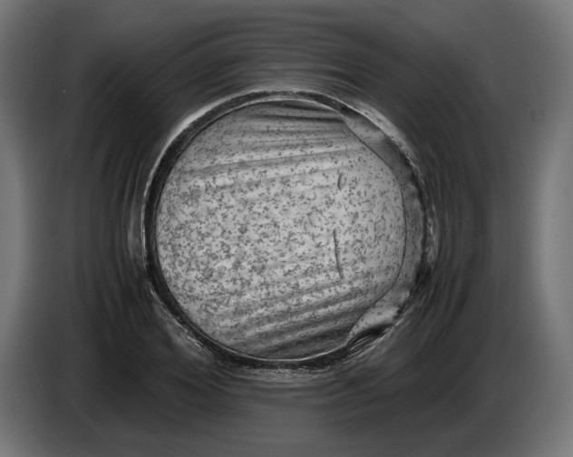 X0000087420980200705041304