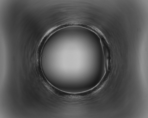 X0000087420981200705041304