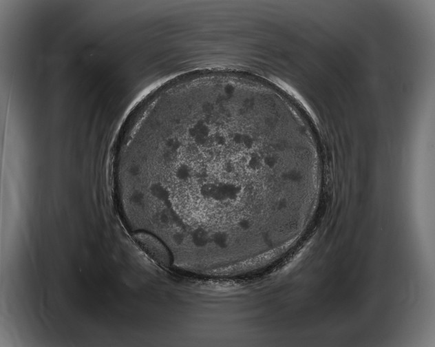 X0000087420983200705041304