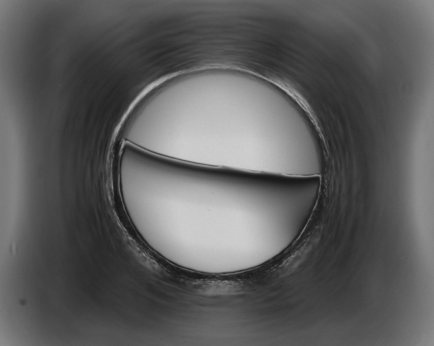 X0000087420984200705041304