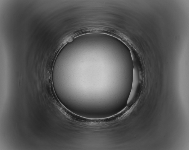 X0000087420985200705041304