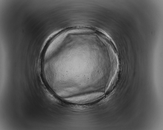 X0000087420987200705041304
