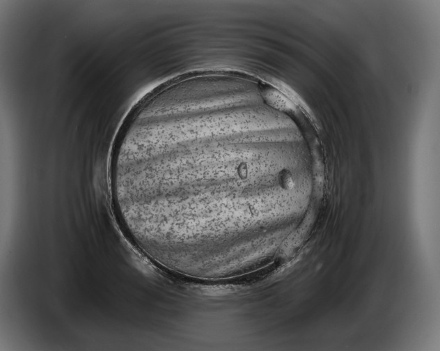 X0000087420988200705041304