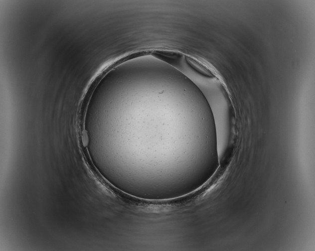 X0000087420989200705041304