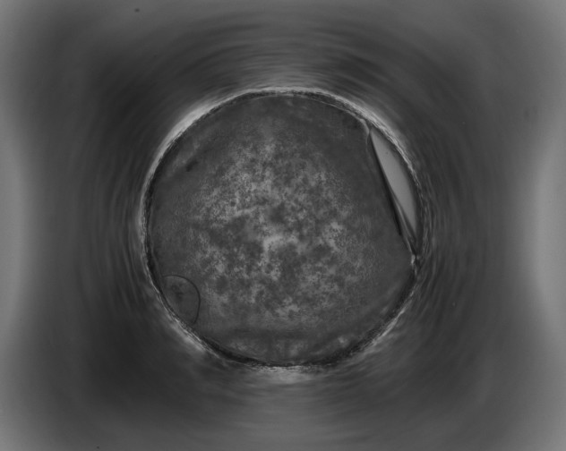 X0000087420990200705041304