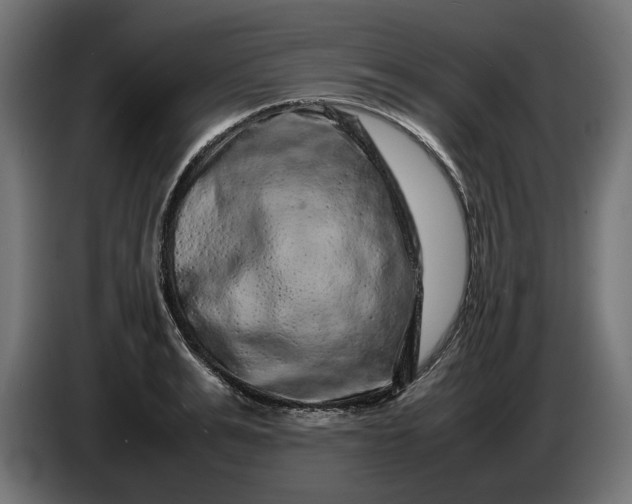 X0000087420991200705041304