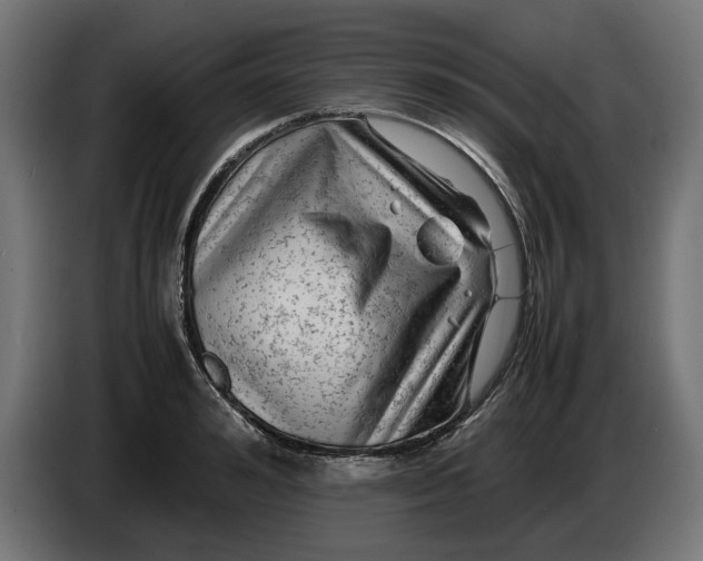 X0000087420992200705041304