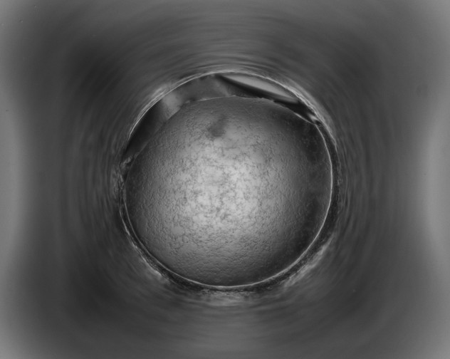 X0000087420993200705041304