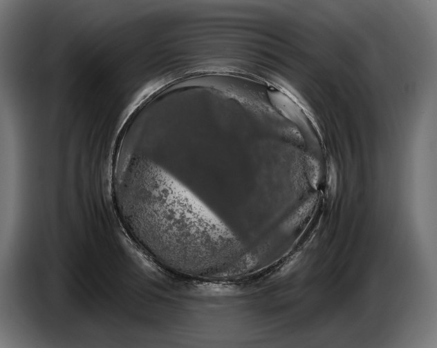 X0000087420994200705041304