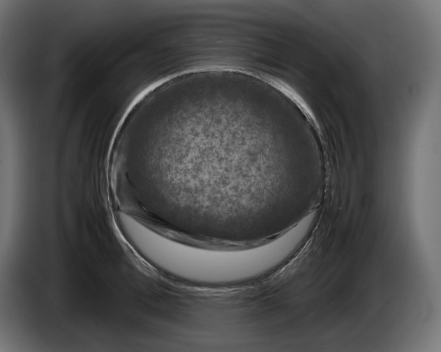 X0000087420996200705041304