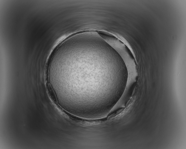 X0000087420997200705041304