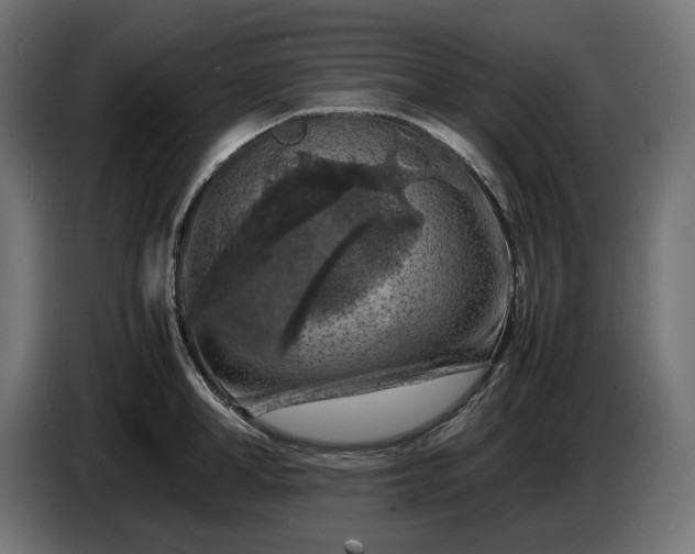 X0000087420998200705041304