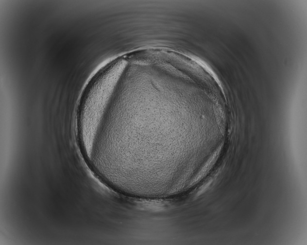 X0000087420999200705041304