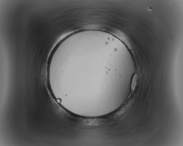 X0000087421000200705041304