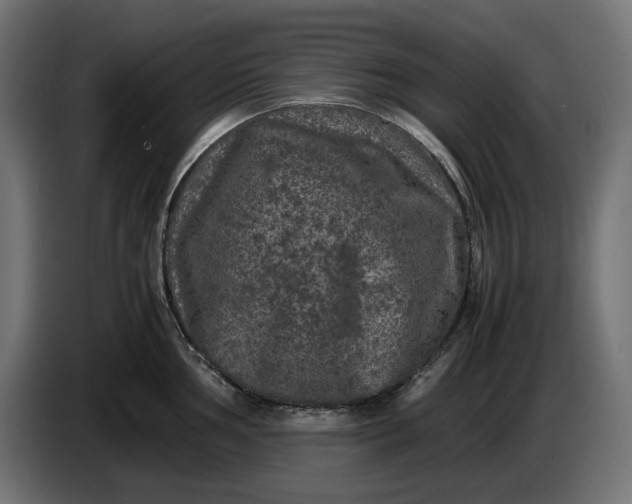 X0000087421002200705041304