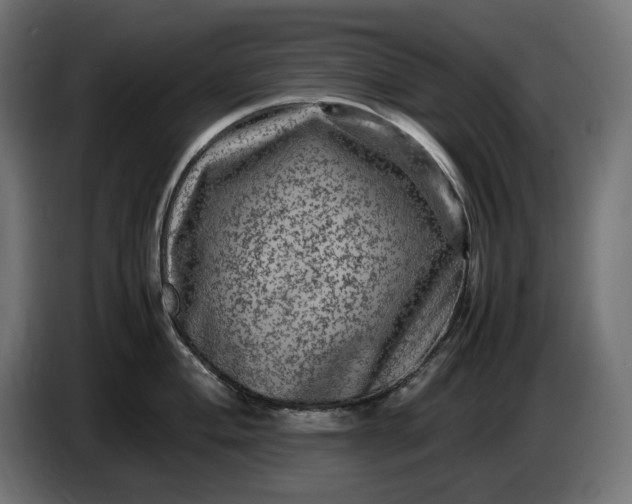 X0000087421004200705041304