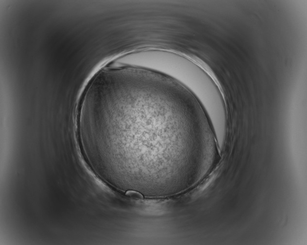 X0000087421005200705041304