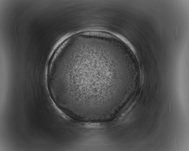 X0000087421006200705041304