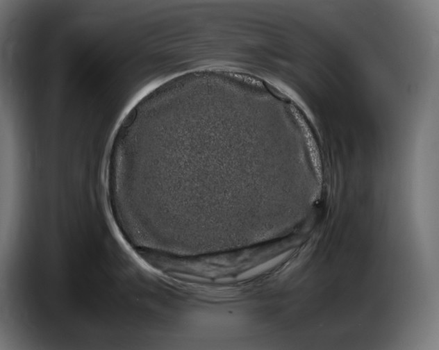 X0000087421007200705041304