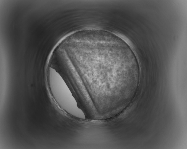 X0000087421008200705041304