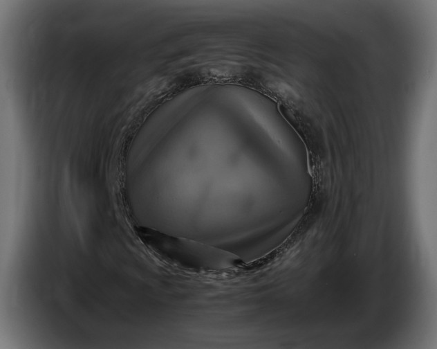 X0000087421009200705041303