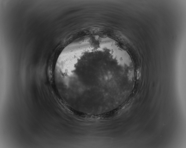 X0000087421011200705041303