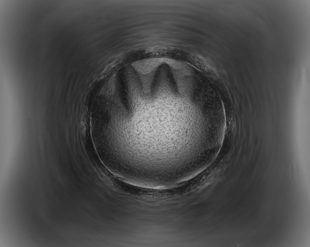 X0000087421012200705041303