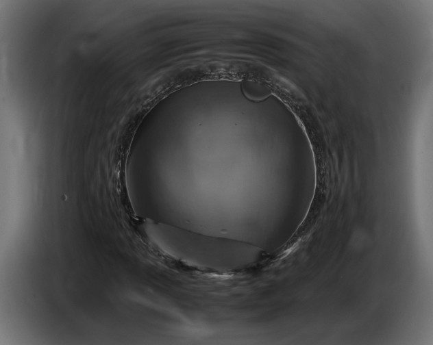 X0000087421013200705041303