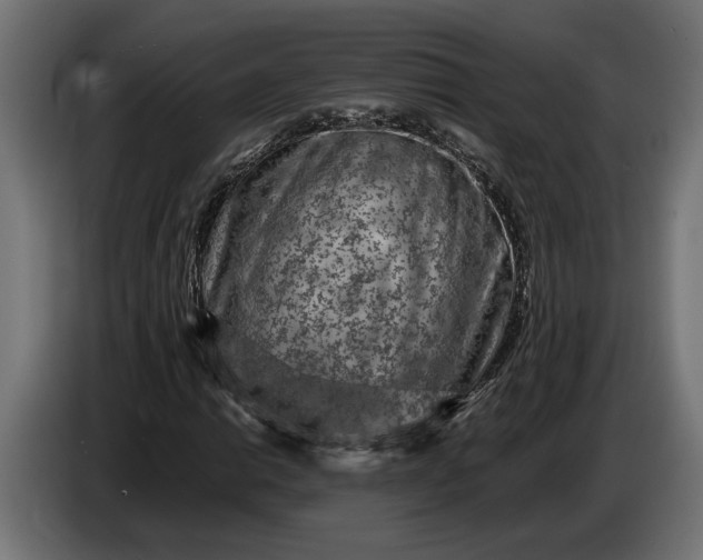 X0000087421014200705041303