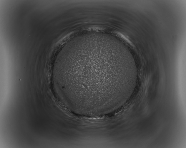 X0000087421015200705041303