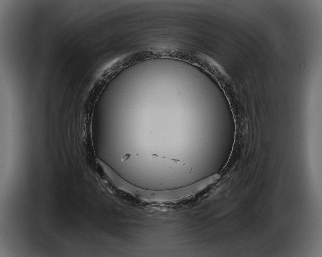 X0000087421016200705041303