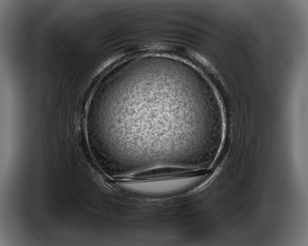 X0000087421017200705041303