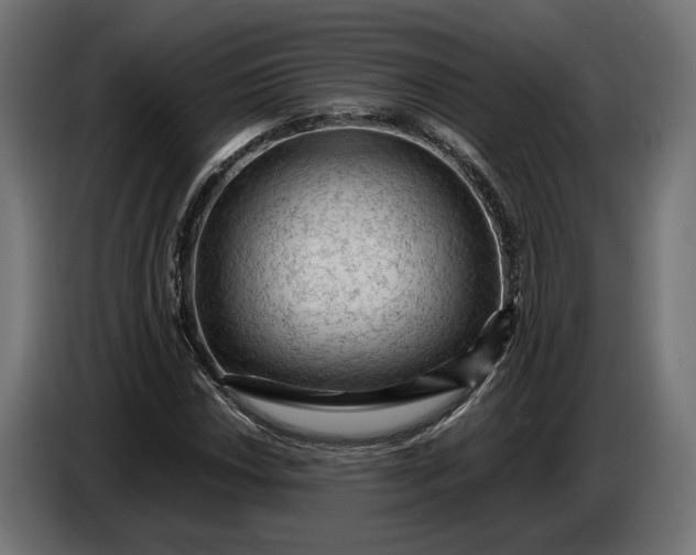 X0000087421018200705041303