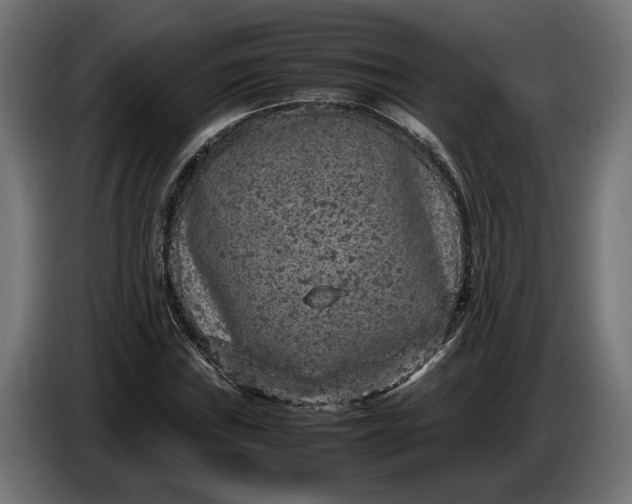 X0000087421019200705041303