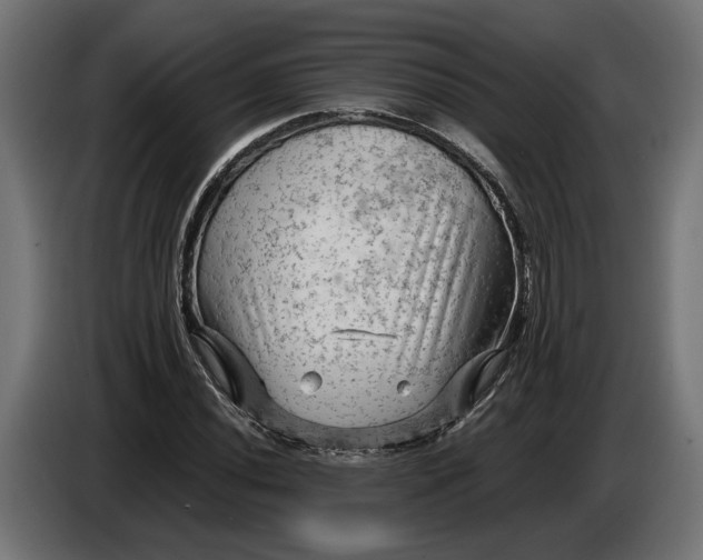 X0000087421020200705041303